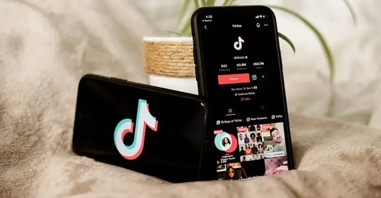 TikTok's popularity among users